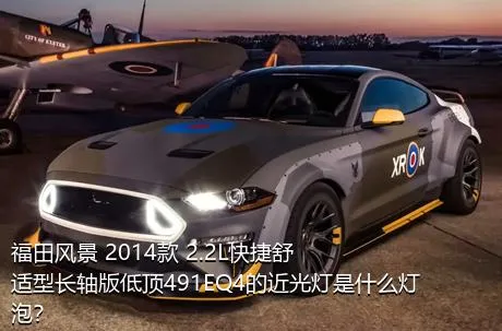 福田风景 2014款 2.2L快捷舒适型长轴版低顶491EQ4的近光灯是什么灯泡？