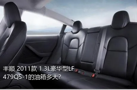 丰顺 2011款 1.3L豪华型LF479Q5-1的油箱多大？