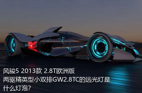 风骏5 2013款 2.8T欧洲版 两驱精英型小双排GW2.8TC的远光灯是什么灯泡？