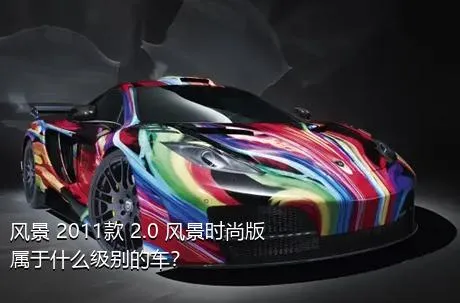 风景 2011款 2.0 风景时尚版属于什么级别的车？