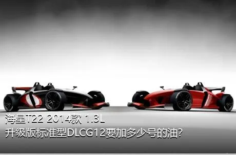 海星T22 2014款 1.3L升级版标准型DLCG12要加多少号的油？