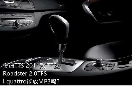 奥迪TTS 2011款 TTS Roadster 2.0TFSI quattro能放MP3吗？