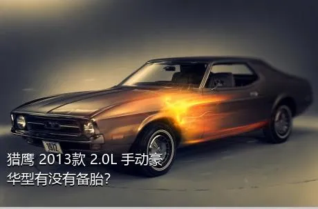 猎鹰 2013款 2.0L 手动豪华型有没有备胎？