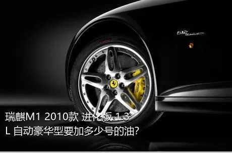 瑞麒M1 2010款 进化版 1.3L 自动豪华型要加多少号的油？