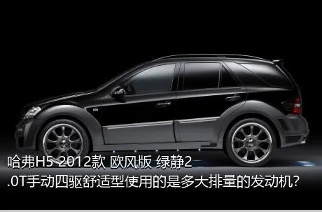 哈弗H5 2012款 欧风版 绿静2.0T手动四驱舒适型使用的是多大排量的发动机？