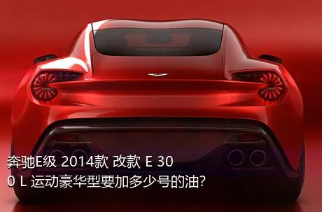 奔驰E级 2014款 改款 E 300 L 运动豪华型要加多少号的油？