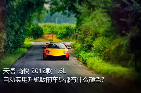 天语 尚悦 2012款 1.6L 自动实用升级版的车身都有什么颜色？