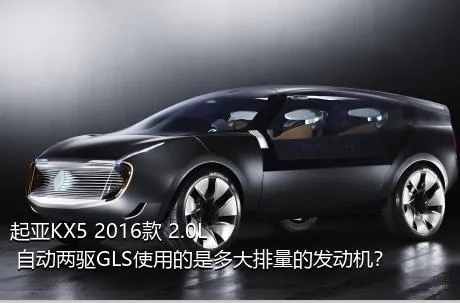 起亚KX5 2016款 2.0L 自动两驱GLS使用的是多大排量的发动机？