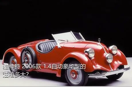 雅绅特 2006款 1.4自动豪华型的油箱多大？