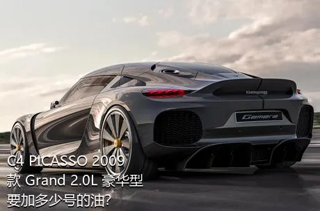 C4 PICASSO 2009款 Grand 2.0L 豪华型要加多少号的油？