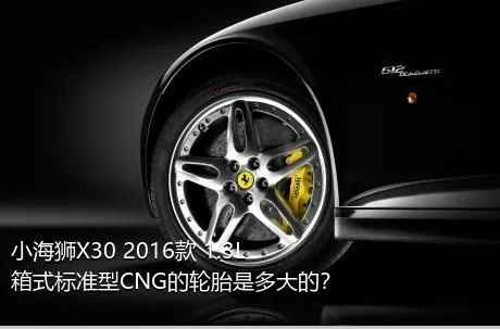 小海狮X30 2016款 1.3L箱式标准型CNG的轮胎是多大的？
