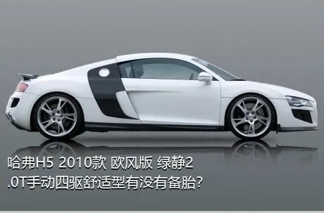 哈弗H5 2010款 欧风版 绿静2.0T手动四驱舒适型有没有备胎？