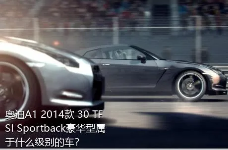 奥迪A1 2014款 30 TFSI Sportback豪华型属于什么级别的车？