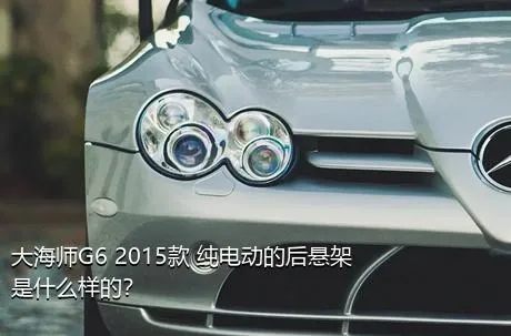 大海师G6 2015款 纯电动的后悬架是什么样的？