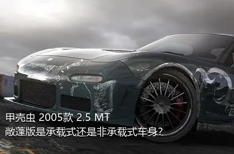 甲壳虫 2005款 2.5 MT 敞蓬版是承载式还是非承载式车身？