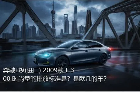 奔驰E级(进口) 2009款 E 300 时尚型的排放标准是？是欧几的车？