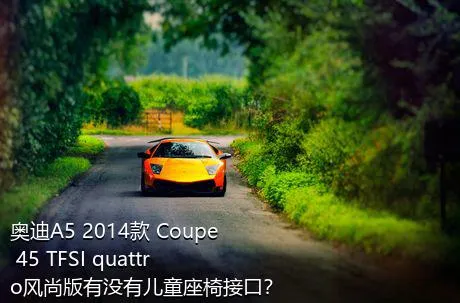 奥迪A5 2014款 Coupe 45 TFSI quattro风尚版有没有儿童座椅接口？