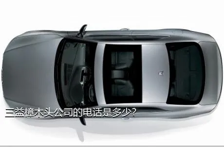 三益樟木头公司的电话是多少？