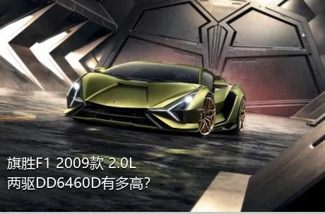 旗胜F1 2009款 2.0L 两驱DD6460D有多高？