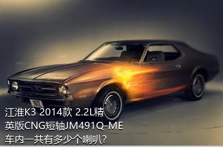 江淮K3 2014款 2.2L精英版CNG短轴JM491Q-ME车内一共有多少个喇叭？