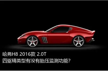 哈弗H8 2016款 2.0T 四驱精英型有没有胎压监测功能？
