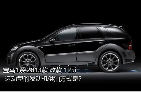 宝马1系 2013款 改款 125i 运动型的发动机供油方式是？