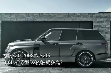 力帆520 2008款 520i 1.6L 经济型DX的油耗多高？