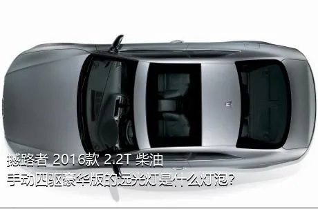 撼路者 2016款 2.2T 柴油手动四驱豪华版的远光灯是什么灯泡？
