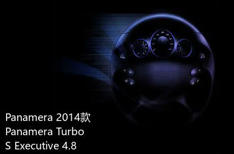 Panamera 2014款 Panamera Turbo S Executive 4.8T属于什么级别的车？