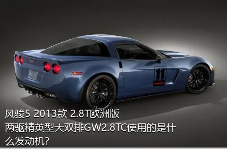 风骏5 2013款 2.8T欧洲版 两驱精英型大双排GW2.8TC使用的是什么发动机？