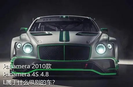 Panamera 2010款 Panamera 4S 4.8L属于什么级别的车？
