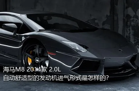 海马M8 2014款 2.0L 自动舒适型的发动机进气形式是怎样的？