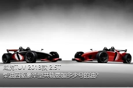 威虎TUV 2013款 2.5T柴油四驱豪华型共轨要加多少号的油？