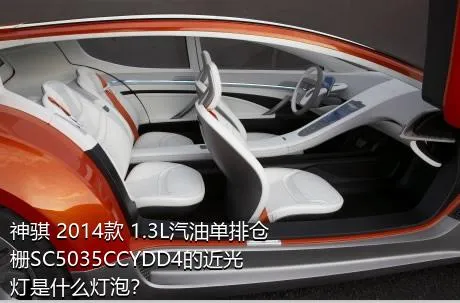 神骐 2014款 1.3L汽油单排仓栅SC5035CCYDD4的近光灯是什么灯泡？