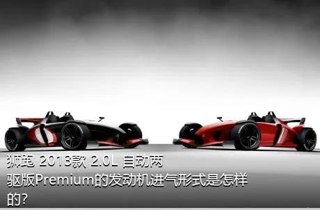 狮跑 2013款 2.0L 自动两驱版Premium的发动机进气形式是怎样的？