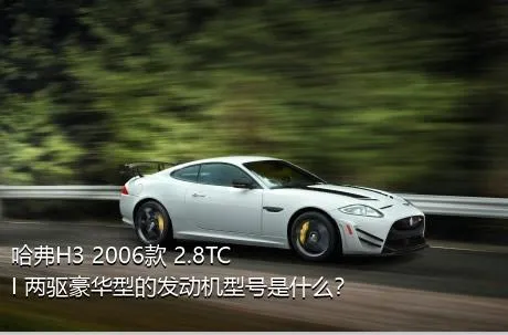 哈弗H3 2006款 2.8TCI 两驱豪华型的发动机型号是什么？