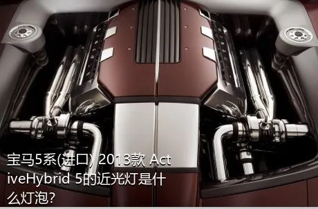 宝马5系(进口) 2013款 ActiveHybrid 5的近光灯是什么灯泡？