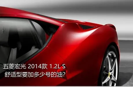 五菱宏光 2014款 1.2L S 舒适型要加多少号的油？