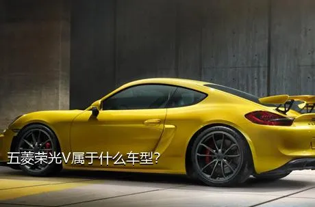 五菱荣光V属于什么车型？