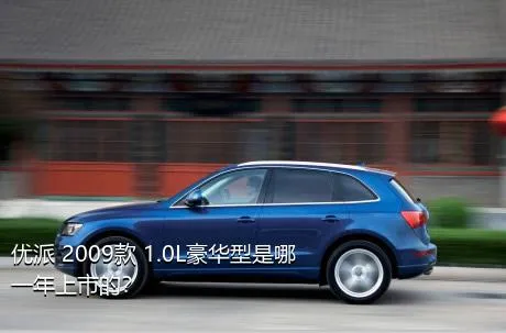 优派 2009款 1.0L豪华型是哪一年上市的？