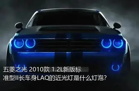五菱之光 2010款 1.2L新版标准型II长车身LAQ的近光灯是什么灯泡？