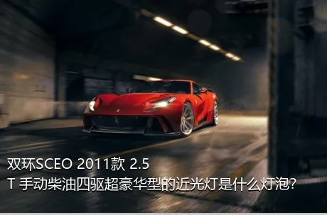 双环SCEO 2011款 2.5T 手动柴油四驱超豪华型的近光灯是什么灯泡？