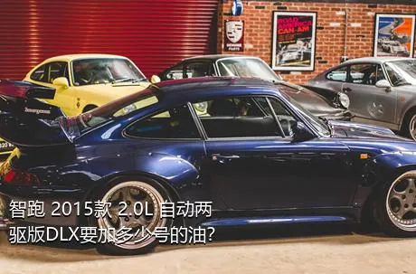 智跑 2015款 2.0L 自动两驱版DLX要加多少号的油？