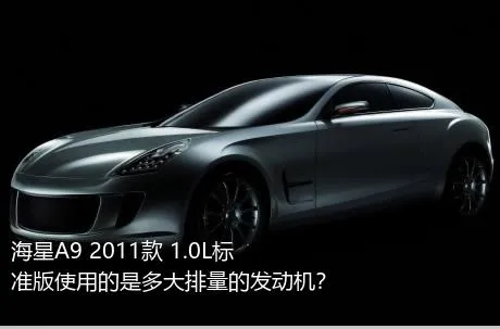 海星A9 2011款 1.0L标准版使用的是多大排量的发动机？