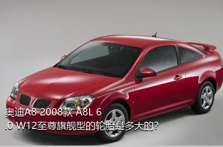 奥迪A8 2008款 A8L 6.0 W12至尊旗舰型的轮胎是多大的？