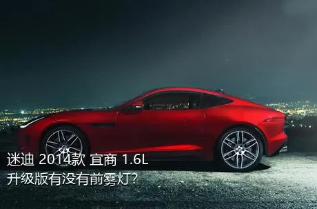 迷迪 2014款 宜商 1.6L 升级版有没有前雾灯？