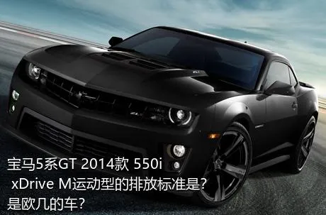 宝马5系GT 2014款 550i xDrive M运动型的排放标准是？是欧几的车？