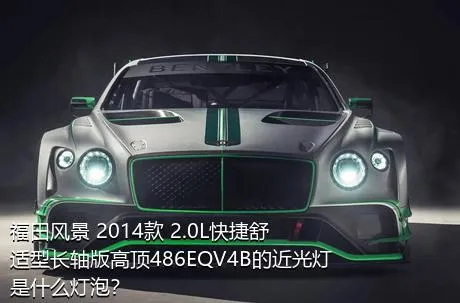 福田风景 2014款 2.0L快捷舒适型长轴版高顶486EQV4B的近光灯是什么灯泡？
