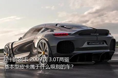 五十铃皮卡 2009款 3.0T两驱 基本型皮卡属于什么级别的车？