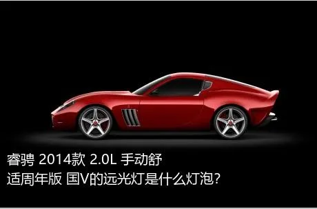睿骋 2014款 2.0L 手动舒适周年版 国V的远光灯是什么灯泡？